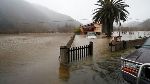 Vista del Sella desbordado a su paso por Santianes (Arriondas)