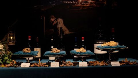 Subasta internacional de trufa blanca y vinos del Piamonte cerca de la ciudad de Alba, en el noroeste de Italia.