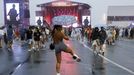 El pasado ao s que llovi durante la primera edicin del Morria Fest. 