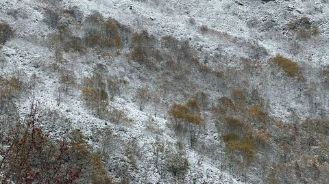 Los colores del oto�o se mezclaban este s�bado con el blanco de la nieve en las partes m�s altas de la Serra do Courel 