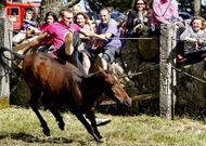 Durante la rapa pudieron vivirse momentos de gran emoci�n.