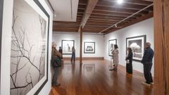 Santiago acoge una muestra de fotograf�as de Chema Madoz que tienen un v�nculo con la naturaleza