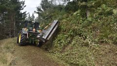 Trabajos de desbroce en el distrito forestal Lugo-Sarria