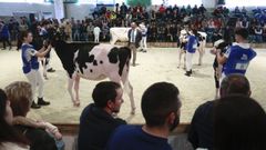 Concurso de jvenes manejadores en la Moexmu del 2024