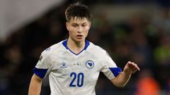 Esmir Bajraktarevic, durante un partido con Bosnia