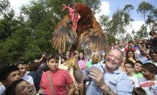 Subasta de gallos en la romer�a de San Roque do Monte del pasado agosto. 