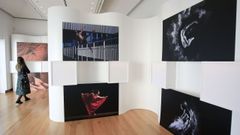 La exposici�n se puede visitar en la Domus do Mitreo hasta finales de abril