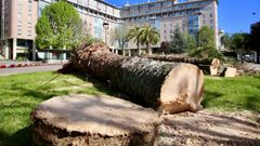 Tala�en la plaza de las Palmeras�de Gregorio Espino