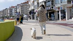 El municipio de Sanxenxo tiene un total de 16.900 viviendas, de las que 726 carecen de saneamiento o de agua de la red municipal