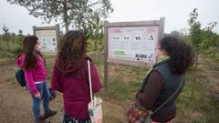 El bosque preparado en As G�ndaras tiene una extensi�n de veinte hect�reas
