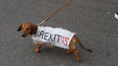 Durante la marcha de Londres algunos manifestantes utilizaron a sus mascotas para insistir en sus reclamaciones