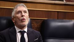 El ministro del Interior, Fernando Grande-Marlaska.