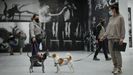 PRIMER D�A DE LA EXPOSICI�N DE PETER LINDBERGH.