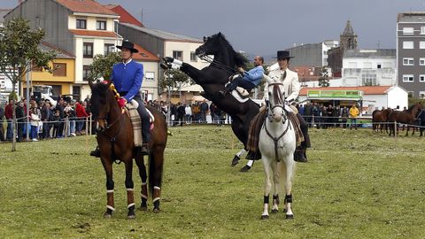 Feria caballar en las Fiestas de San Marcos 2019