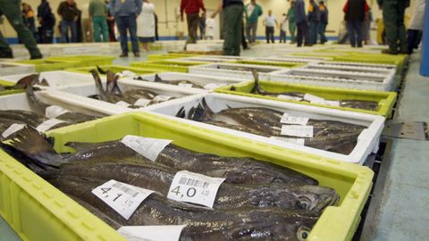 Foto de archivo de una subasta de merluza.