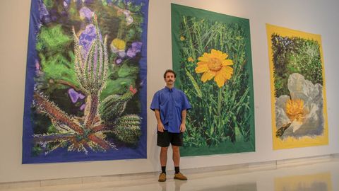 El Centro Cultural de la Diputaci�n  acoge la  exposicion  Galaica  de  Diego Beyr�