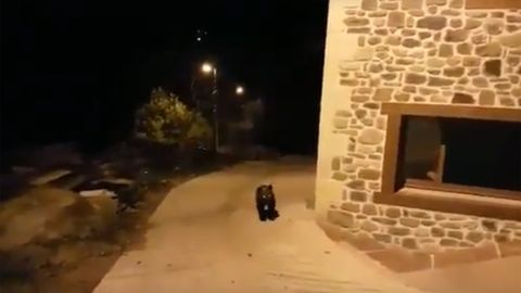 El esbardu perdido