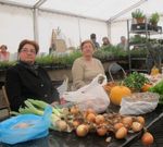 Una carpa estar� dedicada a agricultura y ganader�a. 