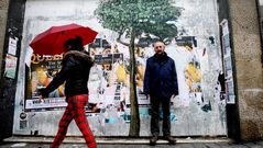 �rboles en las paredes de Vigo