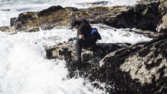 As� se recoge la mexilla en la r�a de Pontevedra