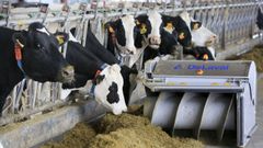 El precio de la alimentaci�n del ganado es uno de los insumos que m�s ha crecido en los �ltimos meses