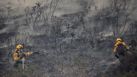 Bomberos de Asturias trabajan para extinguir las llamas en un incendio forestal