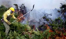 Un operario de extinci�n de incendios trabajando en un monte del municipio de Rois. 