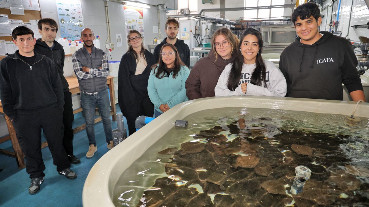 El mapa infinito del Igafa