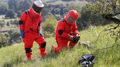 Trabajadores del Serpa eliminan nidos de avispa asitica con explosivos