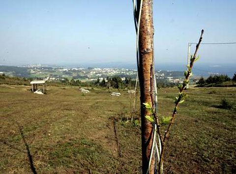 Imagen del monte en el a�o 2007, cuando se hac�a patente la falta de arboleda. Entonces ya hab�a una zona con merenderos.