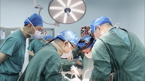 Equipos médicos del Primer Hospital Afiliado de la Universidad Médica de Anhui y la Universidad Agrícola de Yunnan trasplantan un hígado de un cerdo genéticamente modificado a un paciente humano