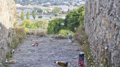 Restos botell�n Baluarte de Canido