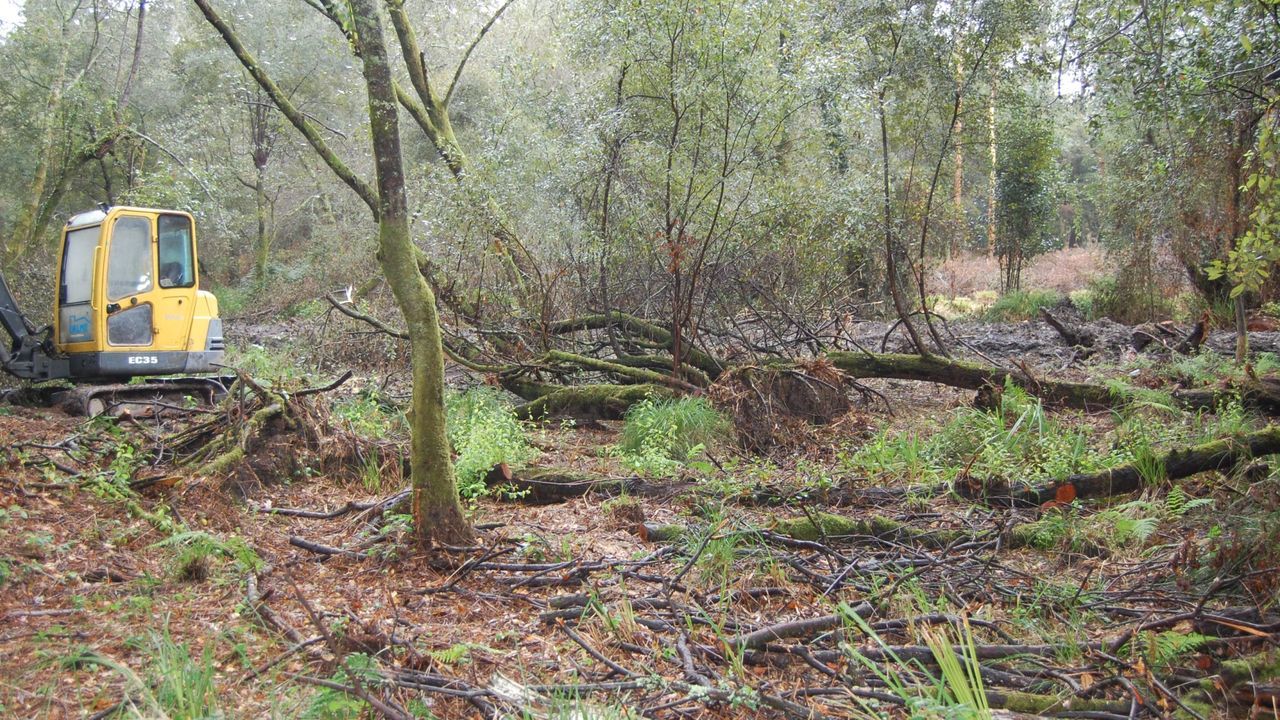 El juzgado ve delictivas las obras en el Lagares para ampliar el campo de golf