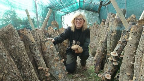 Geli Gonzlez, productora de shiitake ecolgico en Trives (Ourense), rodeada de troncos en una zona cubierta con malla de sombreo