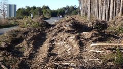 Denuncian que maquinaria pesada destruy� el dolm�n ubicado en el Monte da Cruz, situada en el Alto do Restelo, a 965 metros de altitud, junto a la carretera provincial LU-0708, casi en el l�mite entre los municipios de Baleira, Becerre�, A Fonsagrada y Navia de Suarna.
