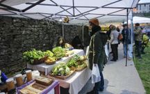 Los puestos de productores ecol�gicos volver�n hoy al parque de Belv�s