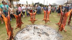 Las im�genes de la Festa do Cochi�o