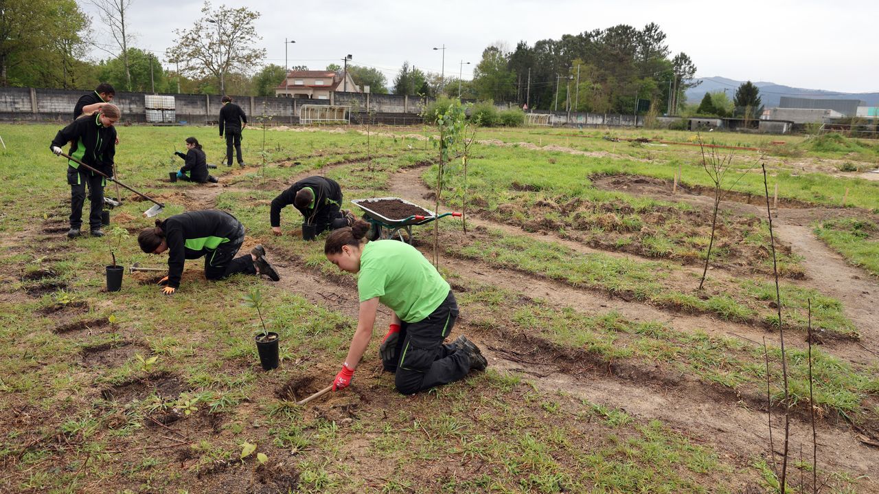 Galicia recibirá 75 millones para impulsar la formación permanente