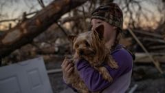 Una ni�a observa los restos de su casa, en la localidad de Mayfield (Kentucky)
