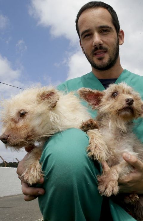 Javier, de Servigal Coru�a, con dos cachorros abandonados