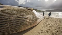 A�o 2019. Uno de los varamientos m�s sonados, una inmensa ballena en Balar�s