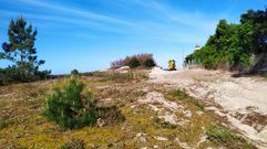 Trabajos ambientales en la playa de Areas y su entorno, en Sanxenxo