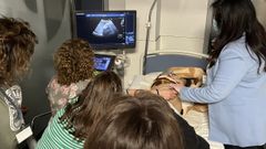 Imagen de la formaci�n en ecograf�a impartida en el Hospital Quironsalud Miguel Dom�nguez de Pontevedra