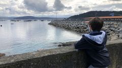 Al fondo de la imagen, las famosas bateas mejilloneras de Lorb�. El principal puerto de Oleiros es de los pocos en los que todav�a funciona una carpinter�a de Ribeira