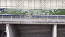 cesped Carlos Tartiere