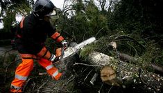 El edil pone como ejemplo la necesidad de reestructurar servicios como es el del Grumir.