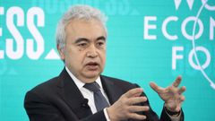 Fatih Birol. jefe del Organismo Internacional de la Energ�a (OIEA), en una imagen del pasado enero
