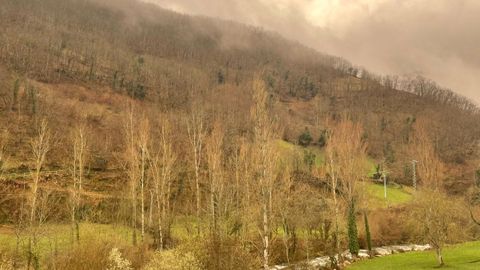 Calima en Asturias