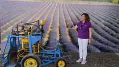 El pueblo color lavanda en la provincia de Valladolid