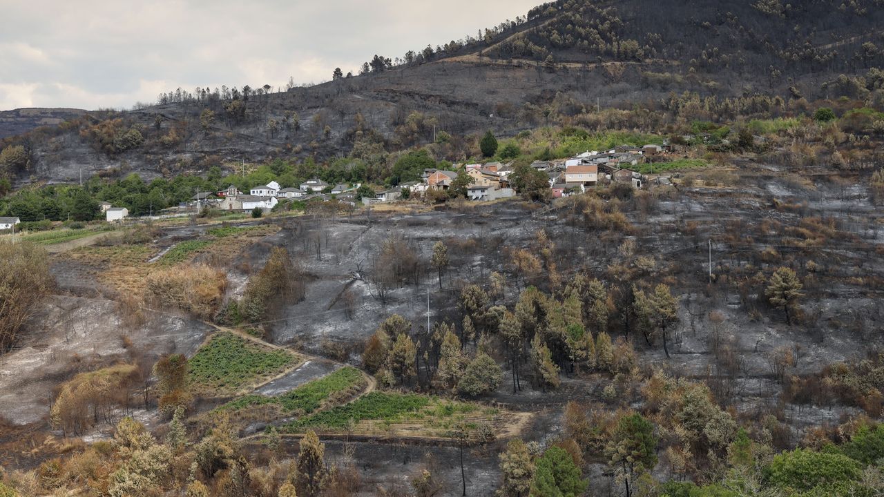 Incendios: la economía de un problema terrenal